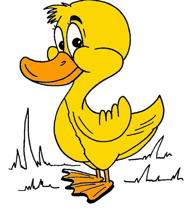 Canard dessin animé